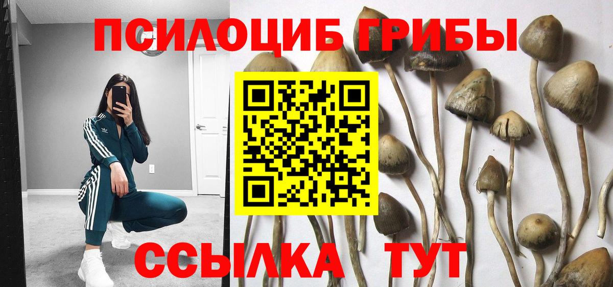 Казань  Псилоцибиновые грибы ЛСД  Вход с VPN 
